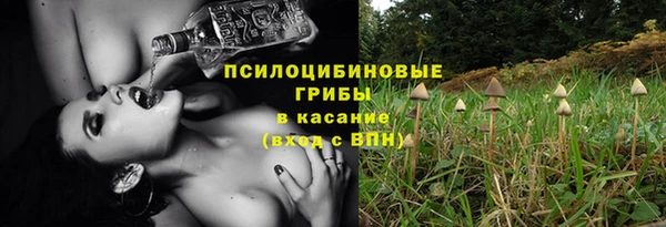 ПСИЛОЦИБИНОВЫЕ ГРИБЫ Алексеевка