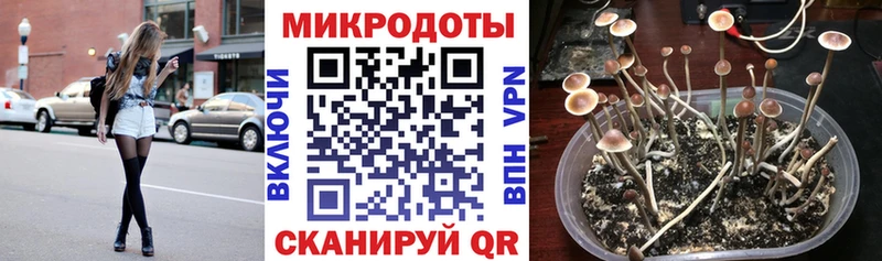 Псилоцибиновые грибы мухоморы  купить наркоту  Амурск 